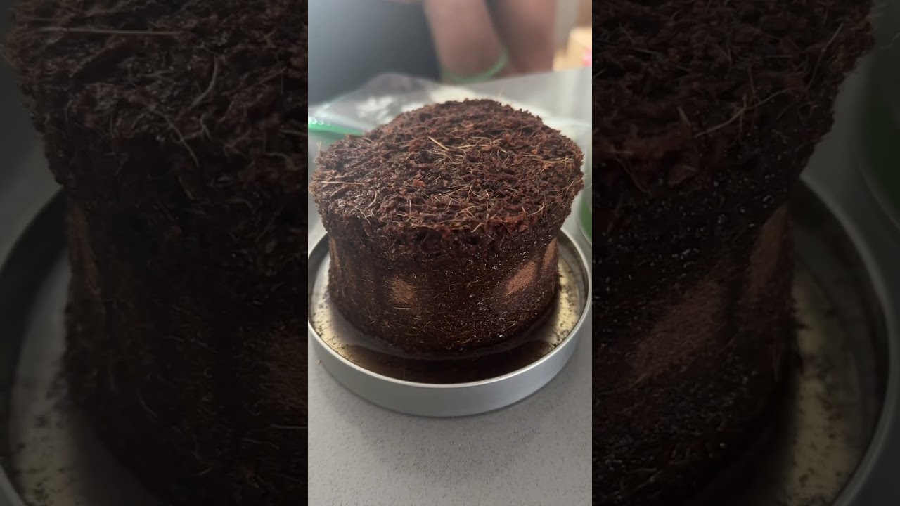 Home Grow Experiment! Follow Along My 2nd Attempt Growing Cannabis