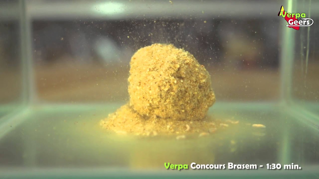 Verpa - Concours Brasem
