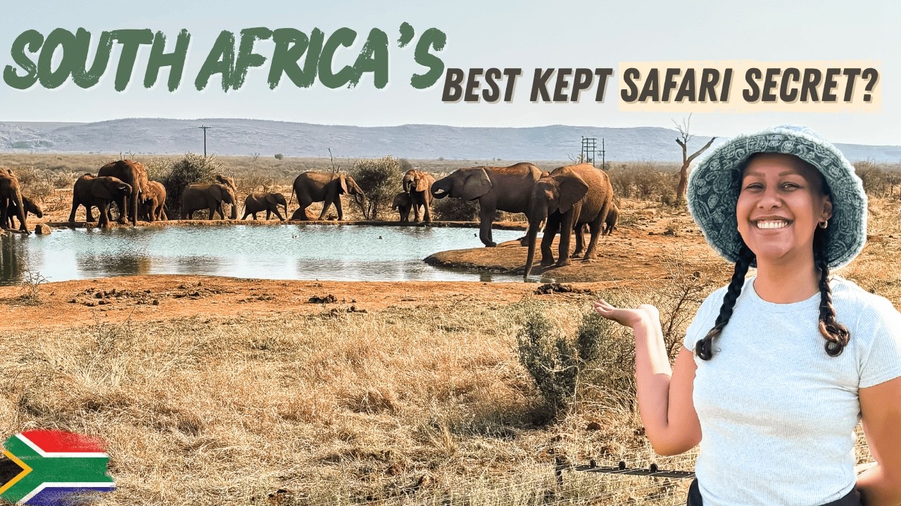 Заповедник Мадикве: сафари, о котором никто не говорит в Южной Африке 🇿🇦