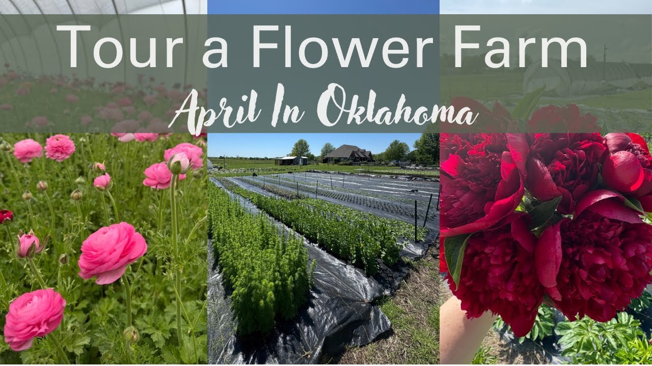 The Real Challenges of Flower Farming (and Why It's Worth It)