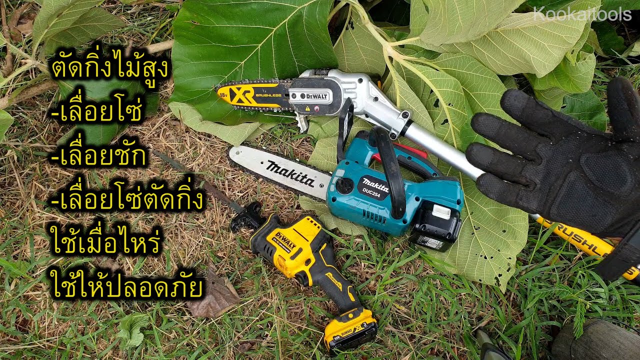 การตัดกิ่งไม้สูง - เครื่องมืออะไร ตัดอย่างไร ให้ถูกต้องปลอดภัย