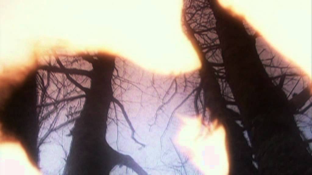 Rossignolet Du Bois LIVE - Salvio Vassallo & Valentina Gaudini