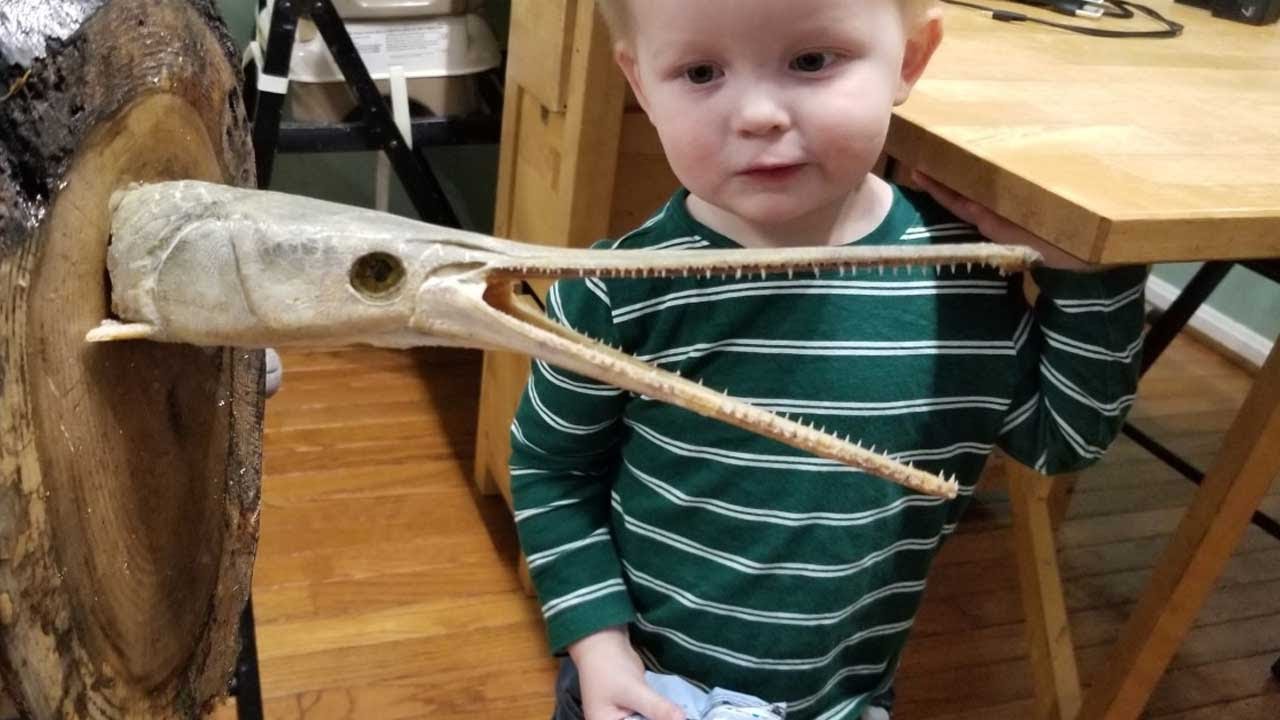 Catch & Cook Gar - Gar recipe - Mounting Gar Head