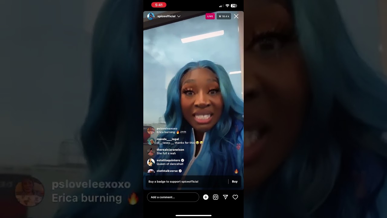 SPICE DRAGS ERICA MENA ON HER IG LIVE OVER SAFAREE