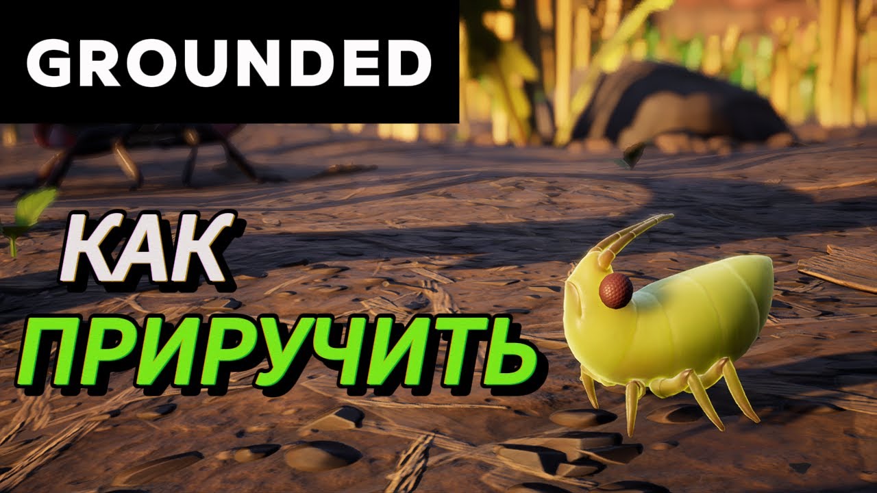 Как приручить всех насекомых в граундед и для чего они нужны