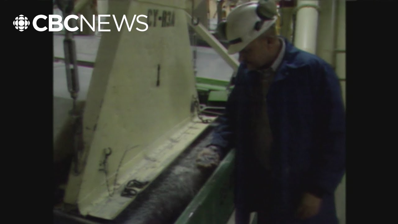 Cassiar asbestos mine, near Yukon-B.C. border, one of province's most contaminated: mining watchdog