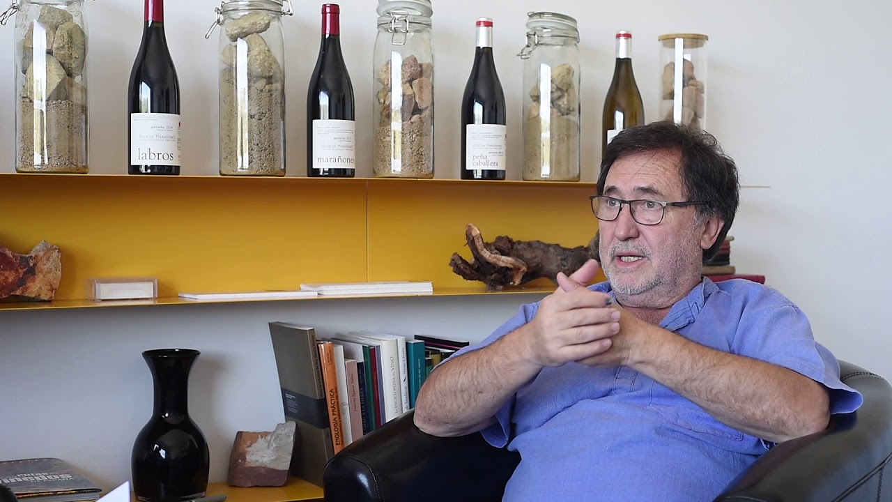 13 CU&Aacute;LES SON LOS PRINCIPIOS FUNDAMENTALES DE BODEGA MARA&Ntilde;ONES