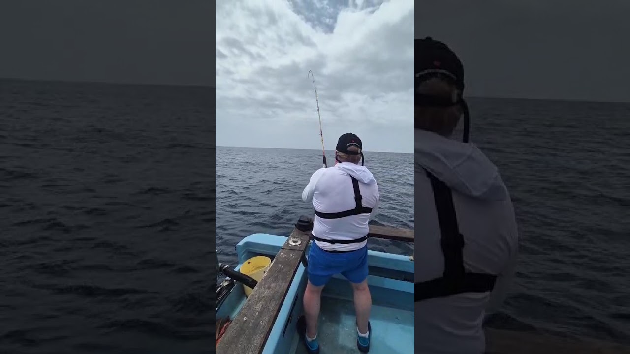Dorado on the fly