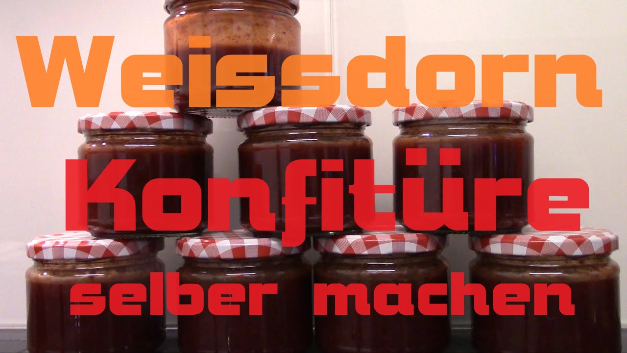 Weissdorn Konfitüre und Essig selber machen #marmelade