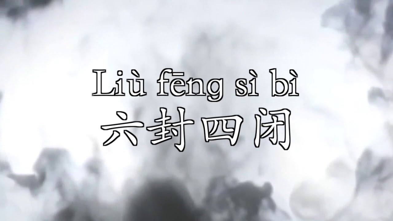 Chen Taijiquan transmitido por Hong Junsheng 13 movimientos - Longhun Wudao