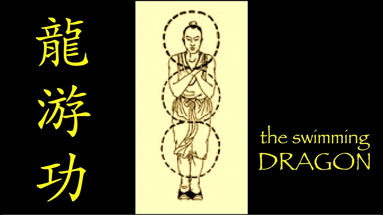 龍游功 Long You Gong SWIMMING DRAGON QIGONG