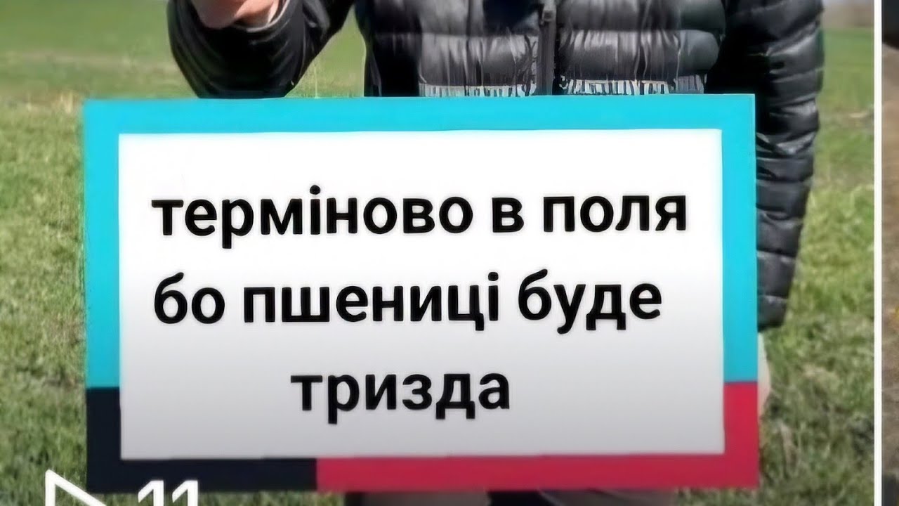 ШВИДКО В ПОЛЯ, БО ПШЕНИЦІ ПІД ЗАГРОЗОЮ