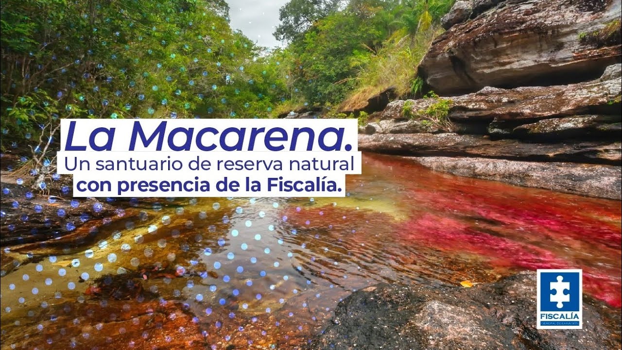 La Macarena, un santuario de reserva natural con presencia de la Fiscalía 