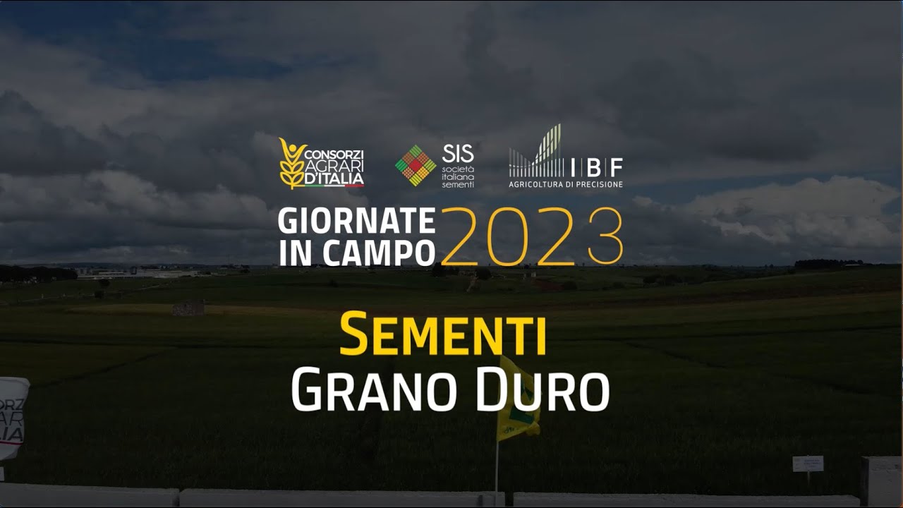 2023 | Sementi | Grano Duro