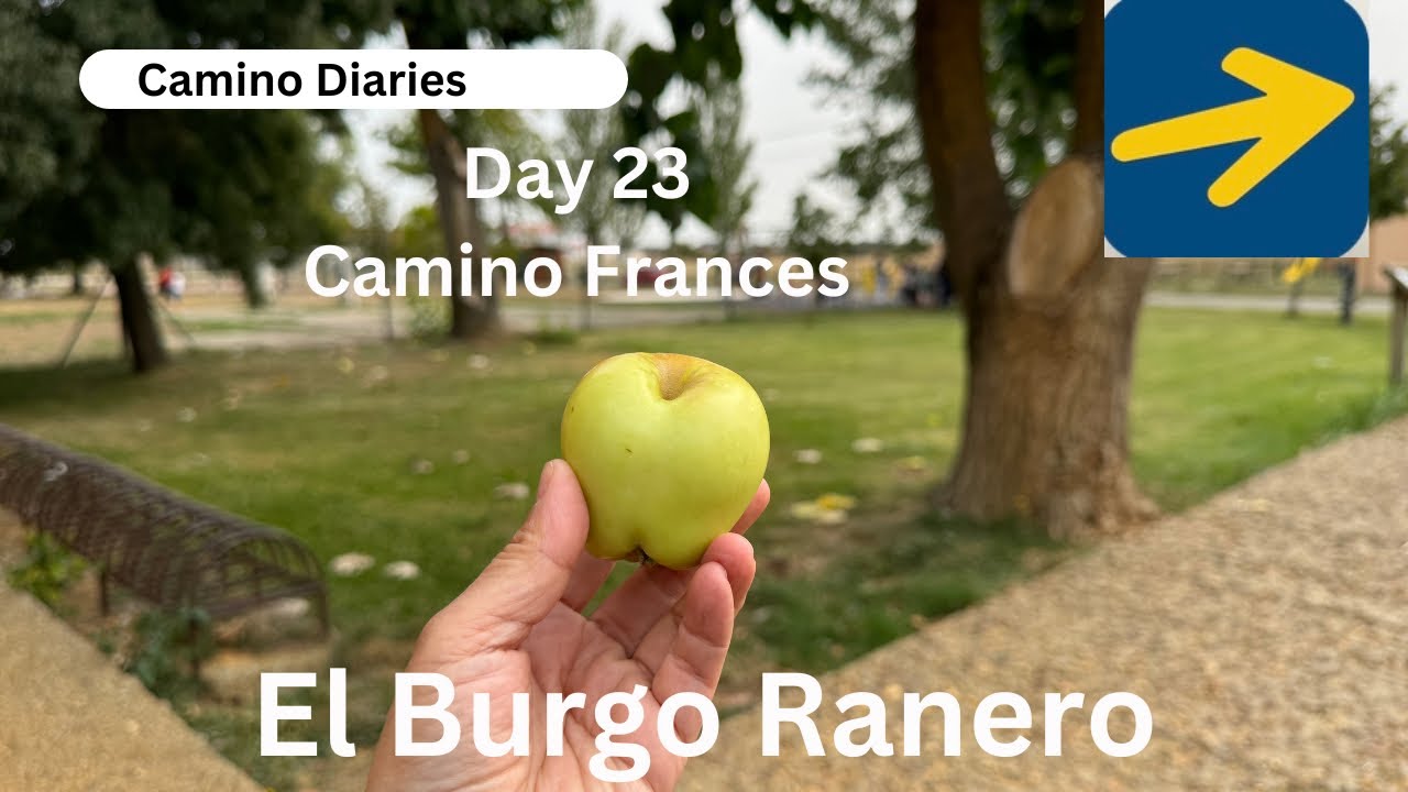 Day 23| Sahagun to El Burgo Ranero| #caminofrances