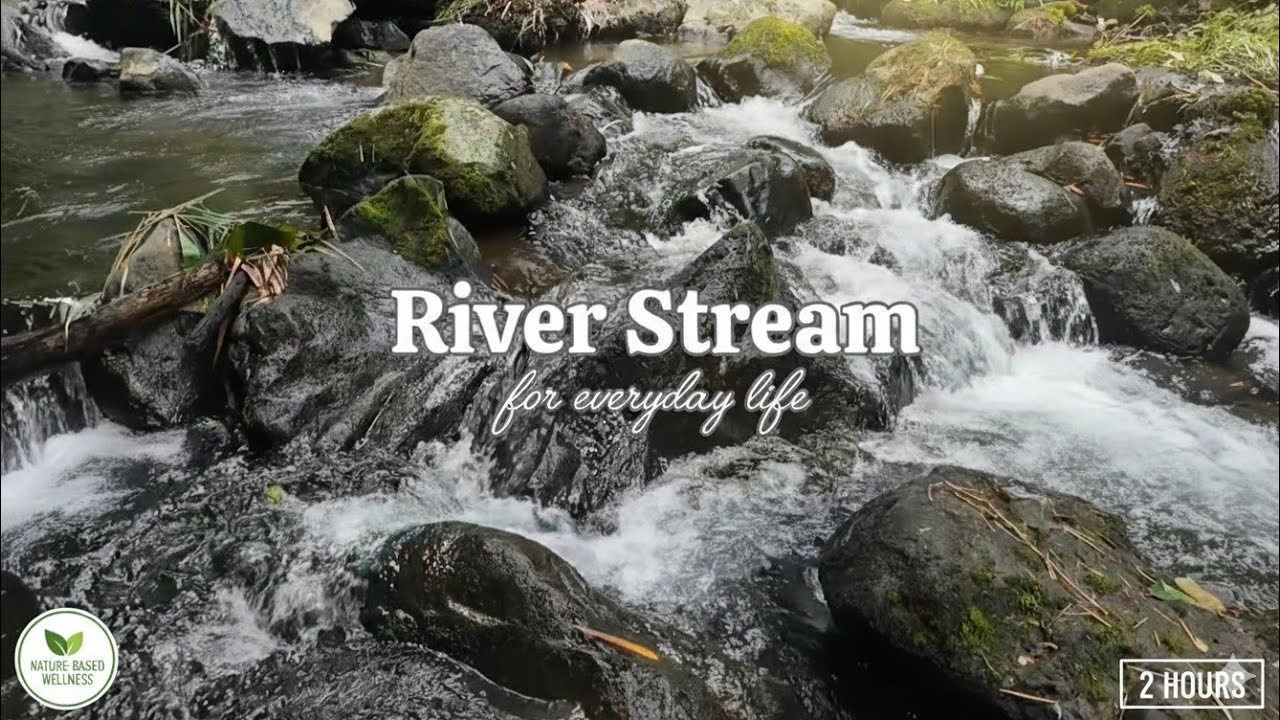 Calm River Flow in Nature 🌿 2 Hours of Gentle Water Sounds for Deep Sleep, Focus & Relaxation