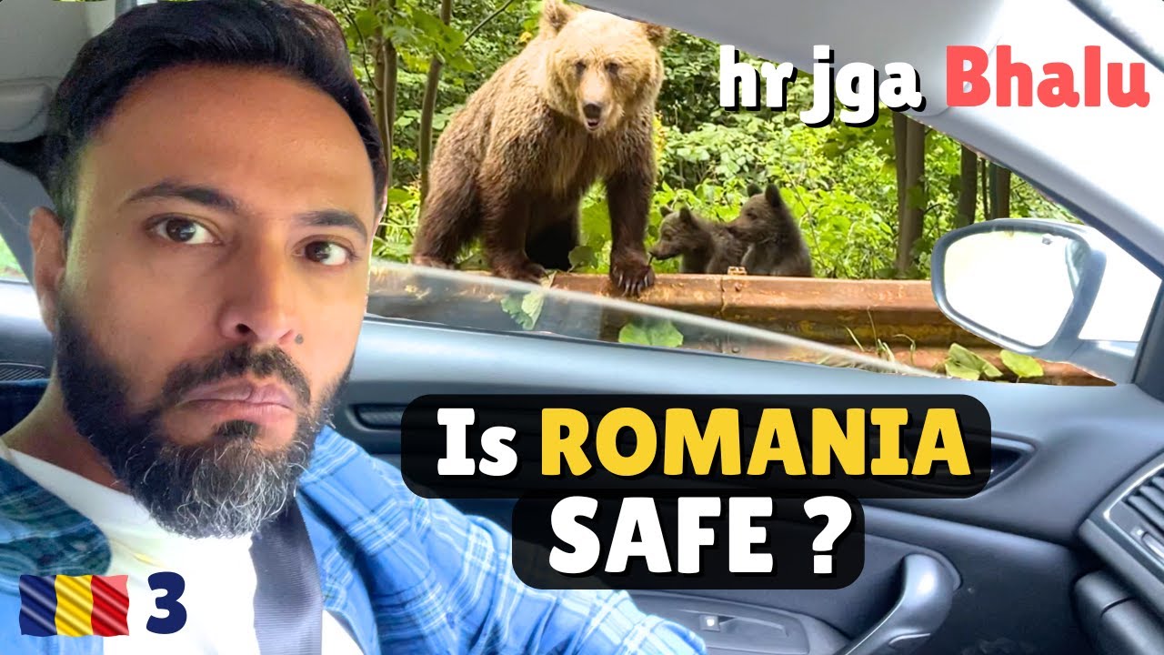 Too Many BEARS 🐻 on this DANGEROUS Road of Romania 🇷🇴 - Transfagarassan