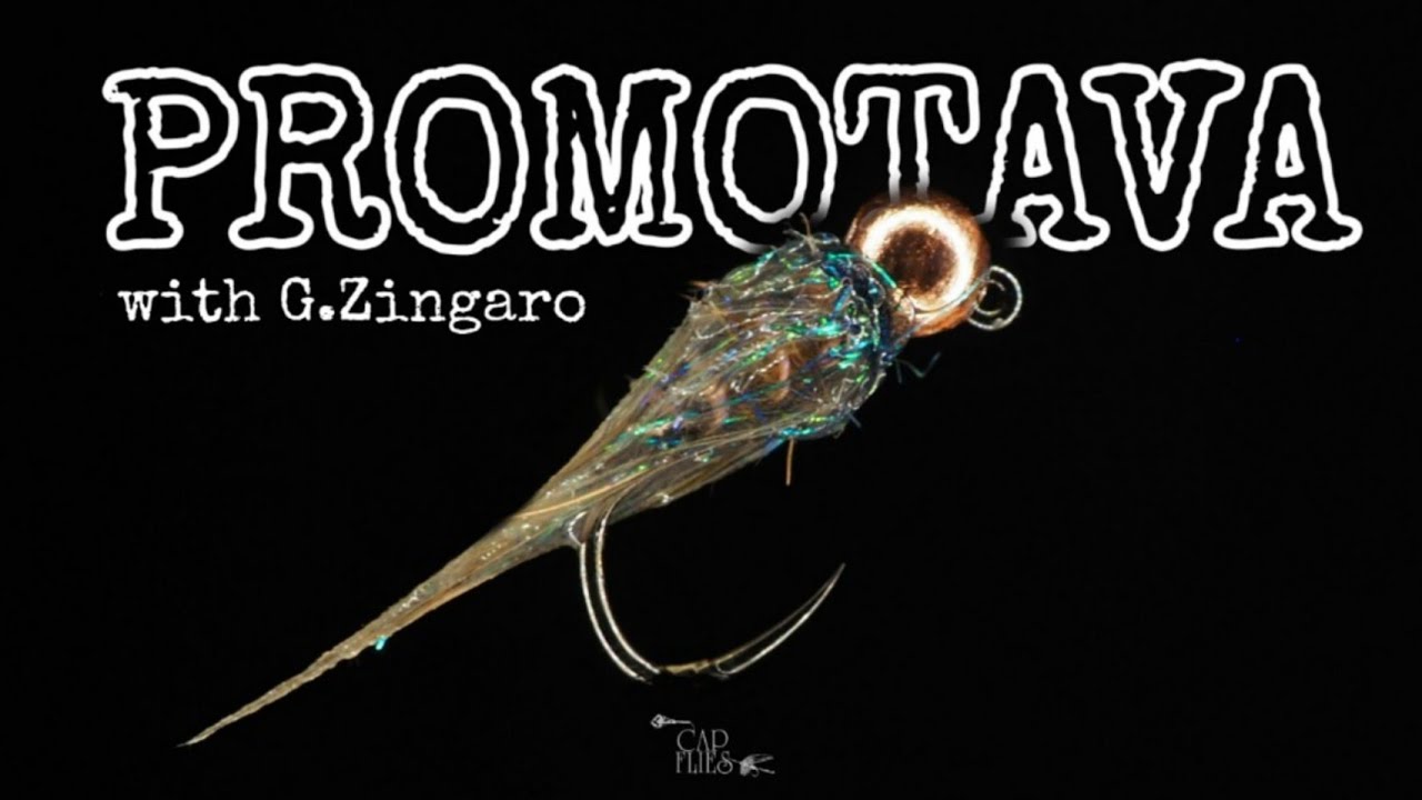 Promotava (Variant/Promotavana) - Fly Tying with G. Zingaro