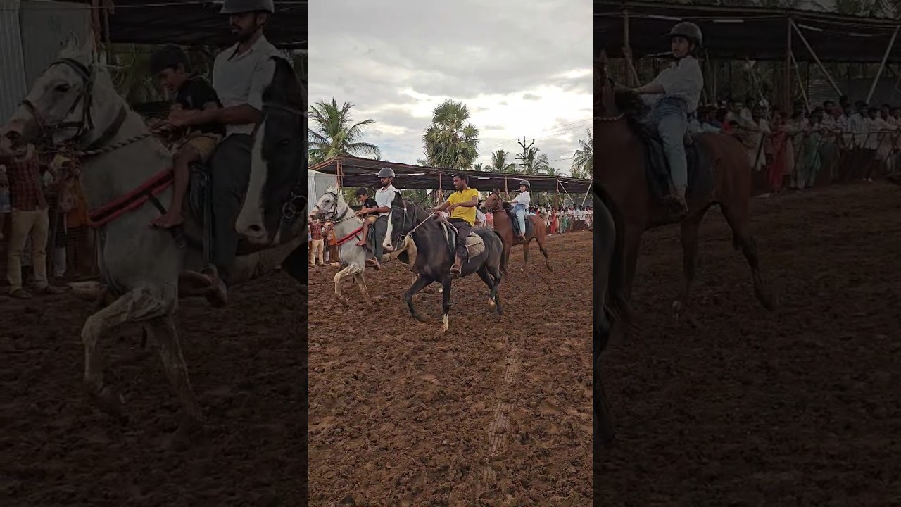 Anthiyur horse show