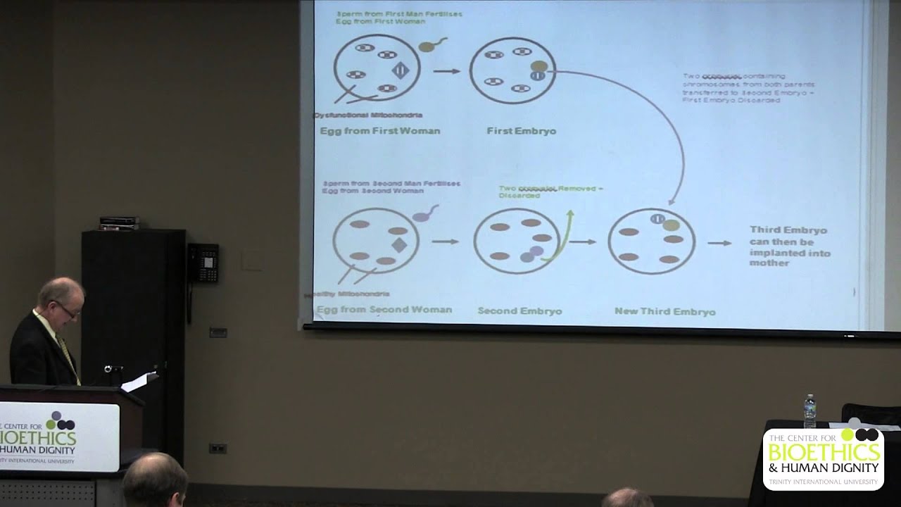 Theological & Ethical Issues of Pronuclear Transfer and Maternal Spindle Transfer  - Trevor Stammers