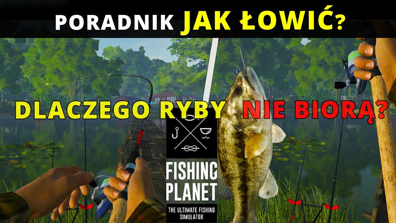 Fishing Planet - Jak Łowić i dlaczego Ryby NIE BIORĄ? Poradnik dla początkujących wędkarzy