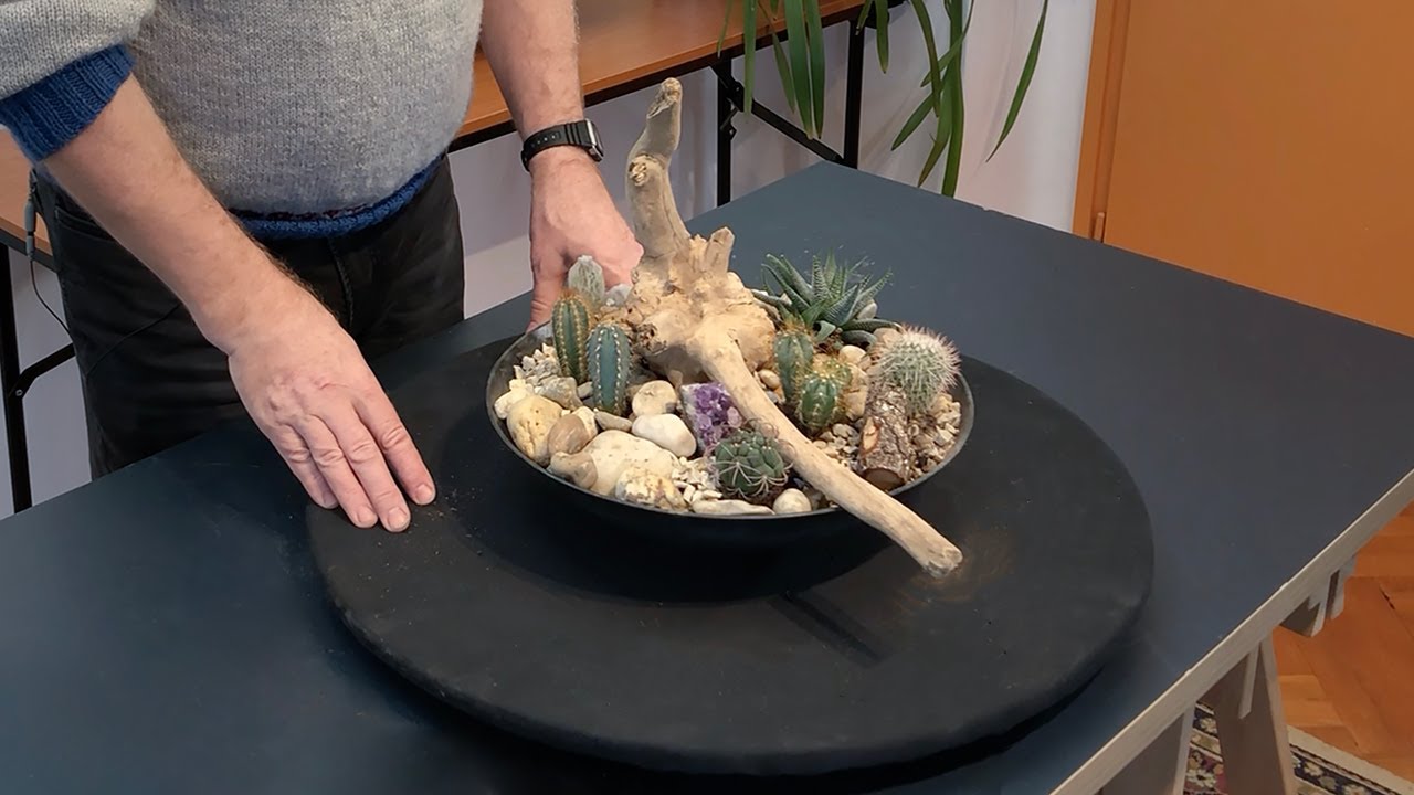 How To Make A Cactus Garden Bowl Planted Design