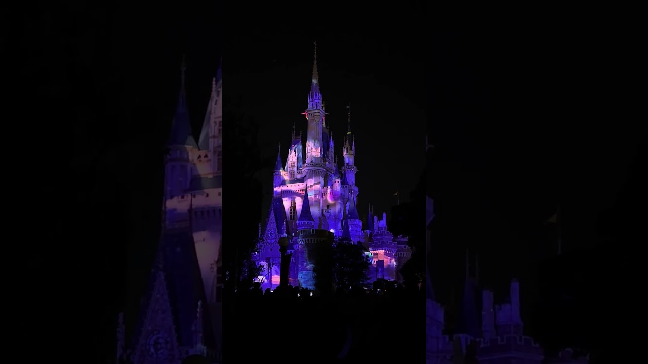 TokyoDisneyland『Reach for the Stars』強風で内容変更🌀ここのシーン1番好き♡ 