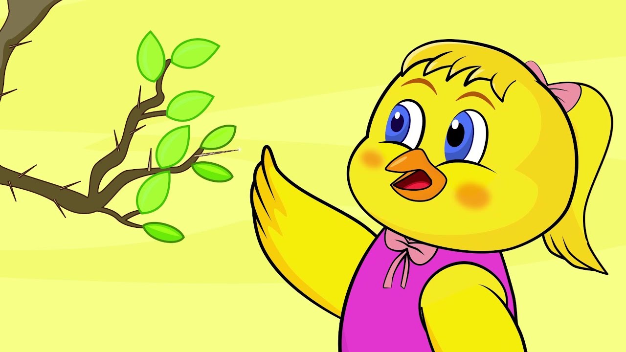 اغنية الصيصان   ساعة كاملة