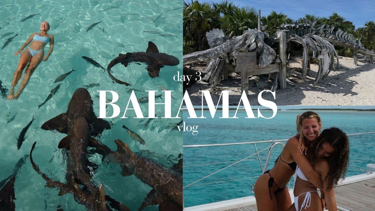 day 3 bahamas vlog: swimming with sharks, tubing & exploring a whale skelaton display on the beach