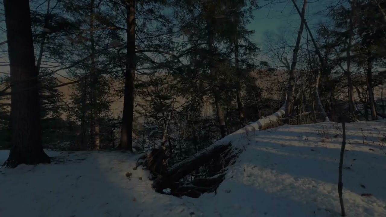 Crunchy Snow Underfoot • A Quiet Winter Morning Hike