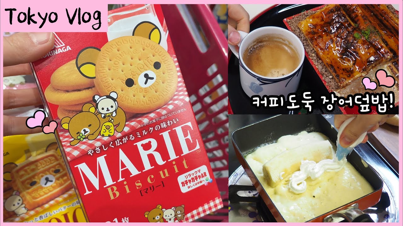Sub)Tokyo vlog🍚Amazing, interesting Japanese sweets & snacks & lunchbox🍱grocery shopping🛒McDonald❤️