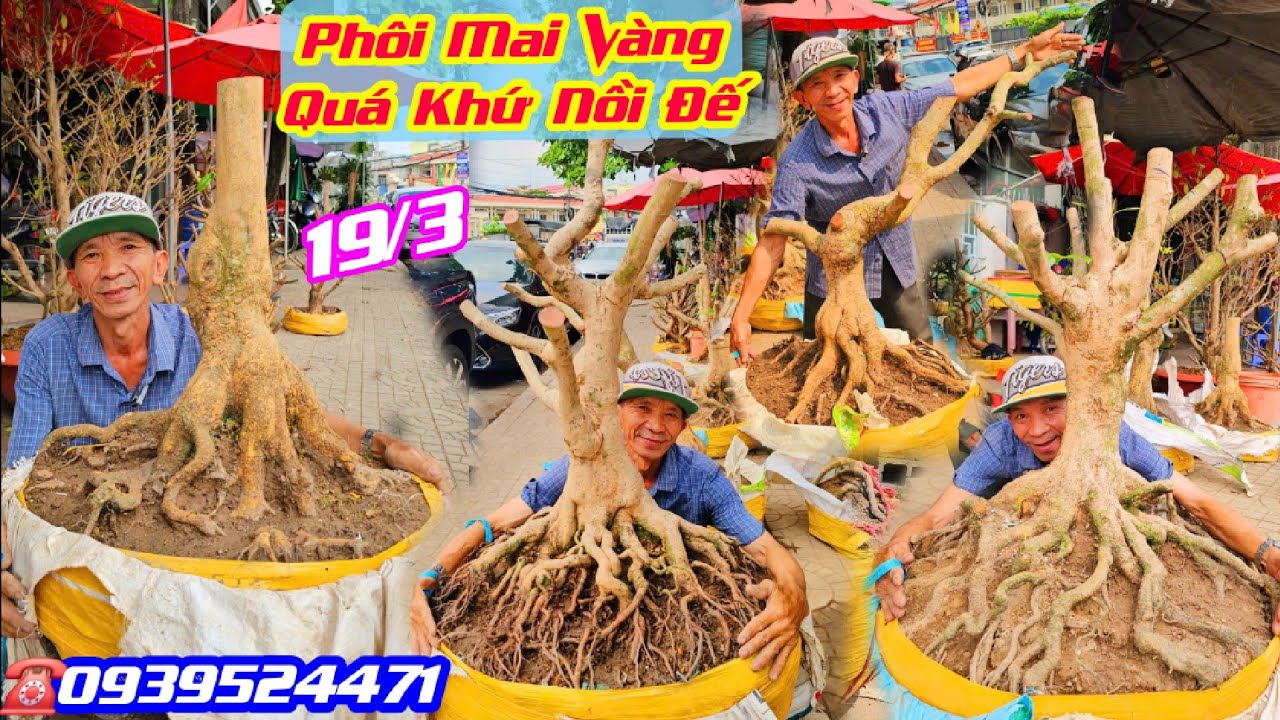 #ChúPhúc_0939524471, Chào Bán 19/3, Phôi Mai Vàng Khủng Quá Khứ Nồi Đế/ CS Cần Thơ