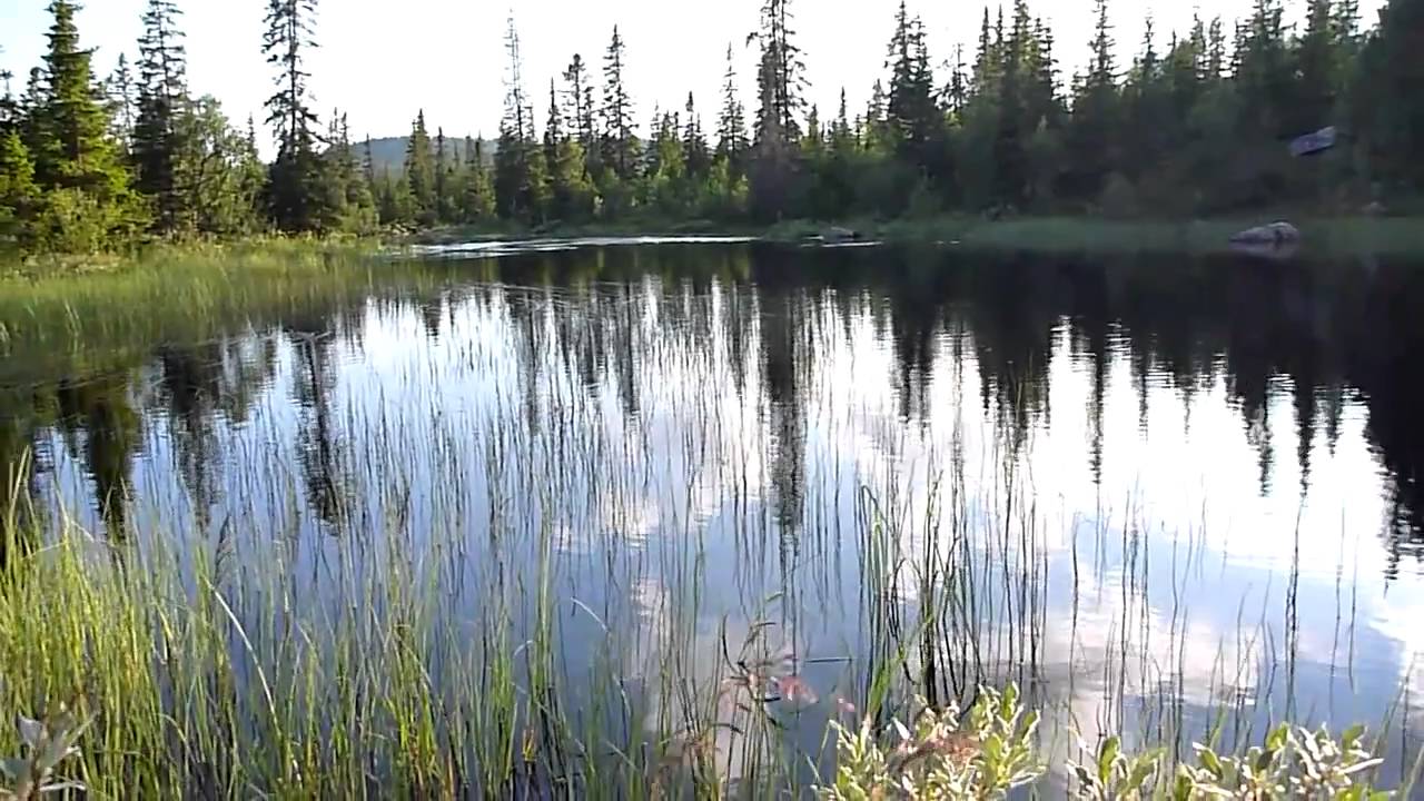 Fjällnära fiske i Jämtland