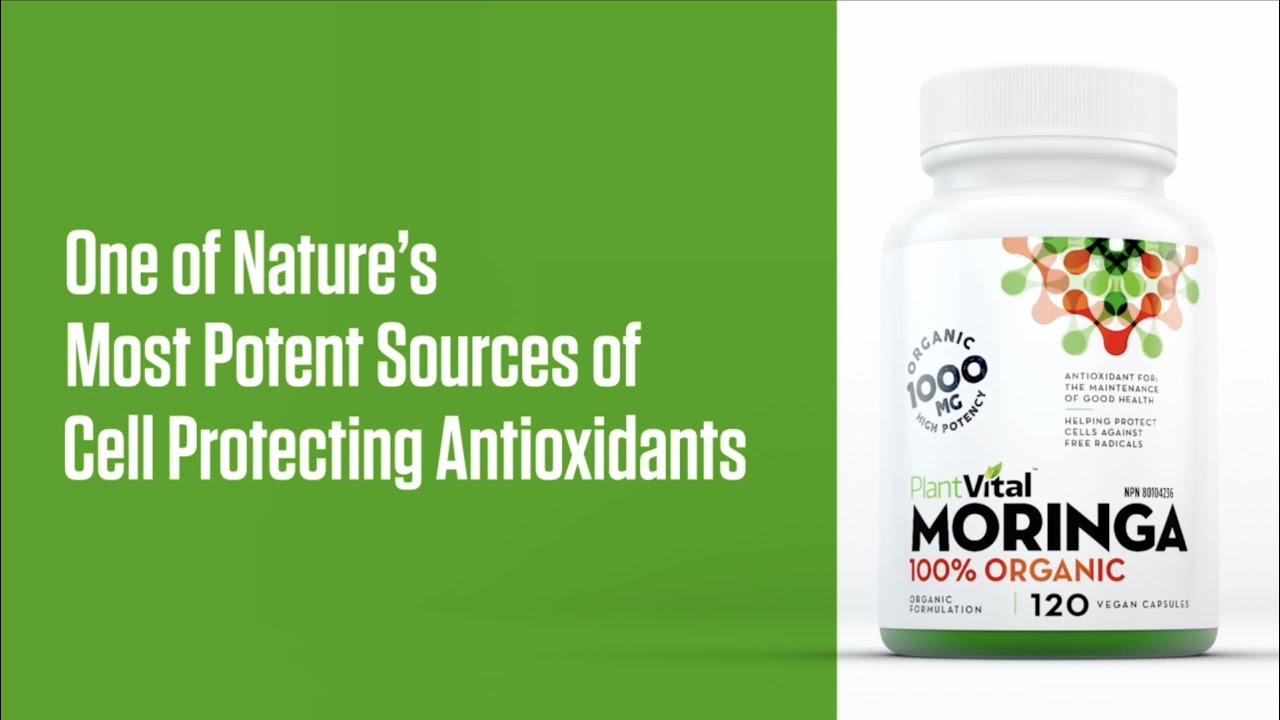 PlantVital Organic Moringa