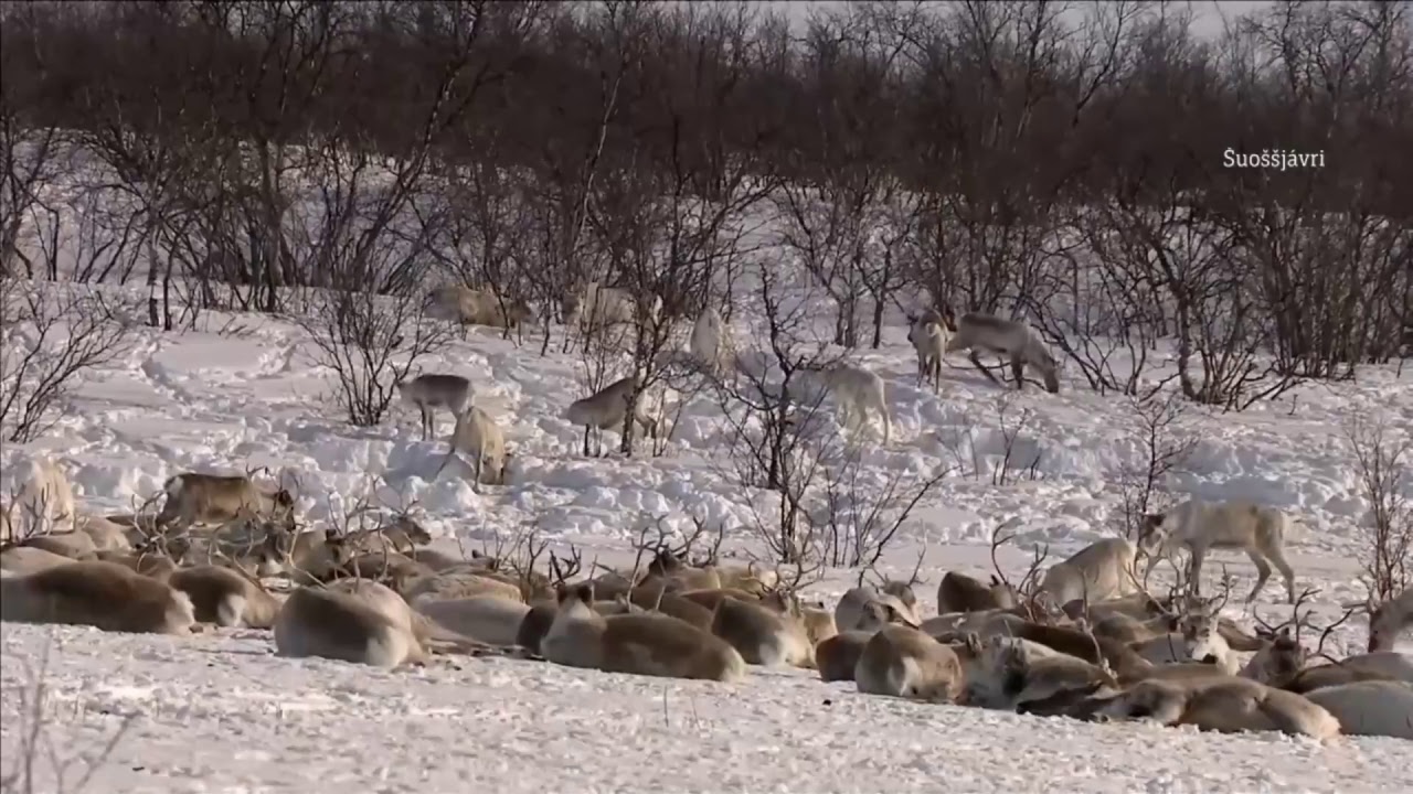 Reinflytting minutt for minutt