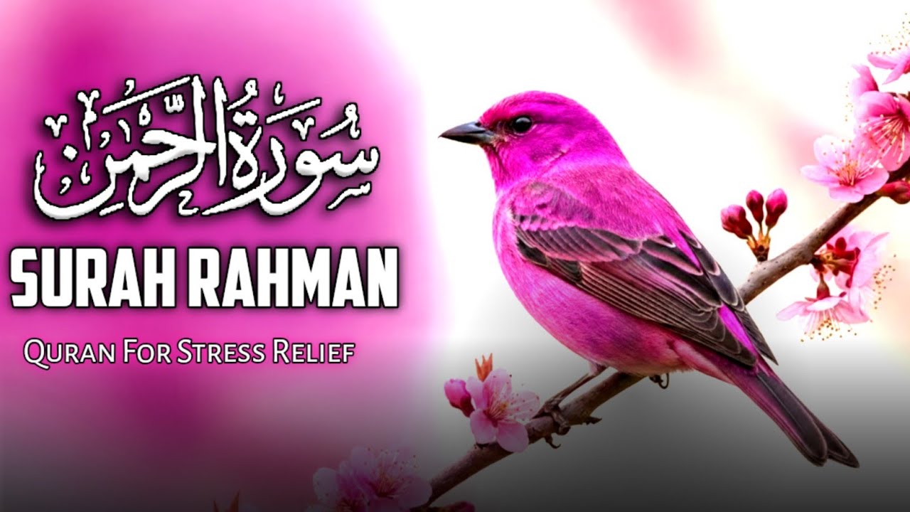 Surah Ar-Rahman (سورة الرحمن) | Beautiful Quran Recitation For Stress Relief | Soothing Tilawat 