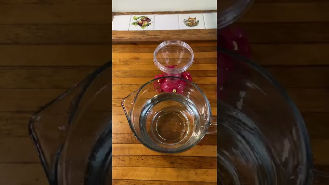 Hummingbird Nectar / Quick and Easy Recipe / #shorts