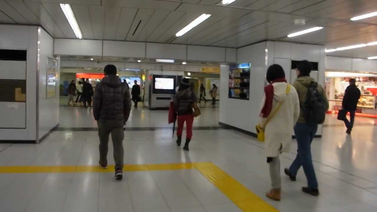 Shinjuku Station - Lower Concourse and Chuo Line Platform (121217hd)