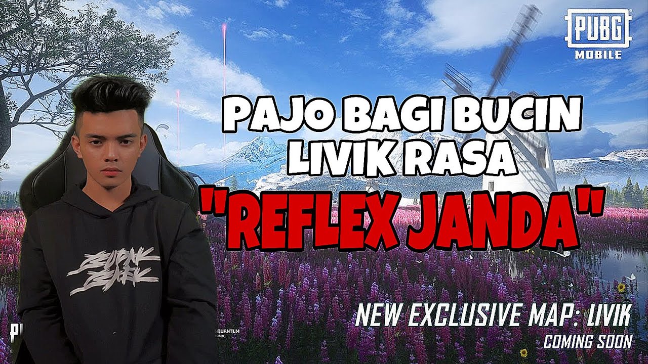 SOLO SQUAD | PAJO BAGI BUCIN LIVIK RASA REFLEX JANDA!!!😤