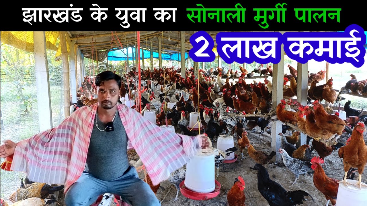 झारखंड के यह युवा सोनाली मुर्गी पालन से कमाता है पैसे sonali murgi palan | desi murgi palan