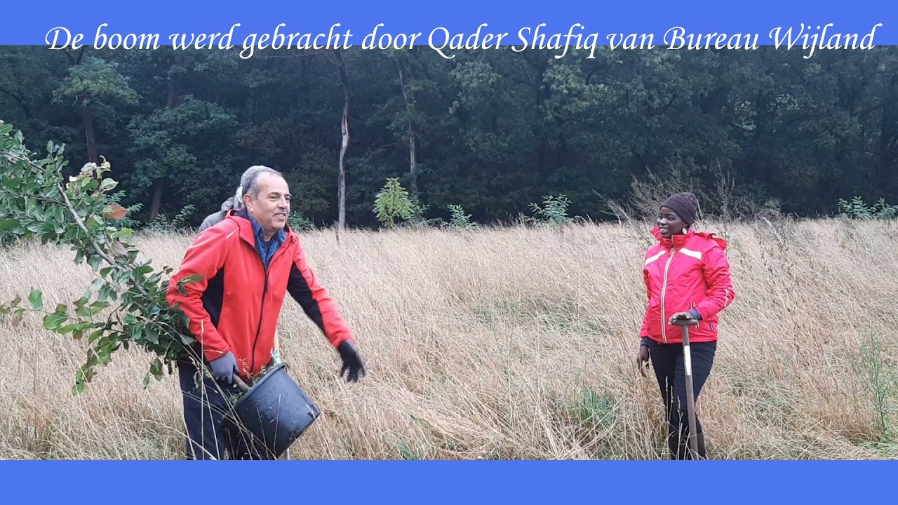 Vijfde plantdag Wij-bos