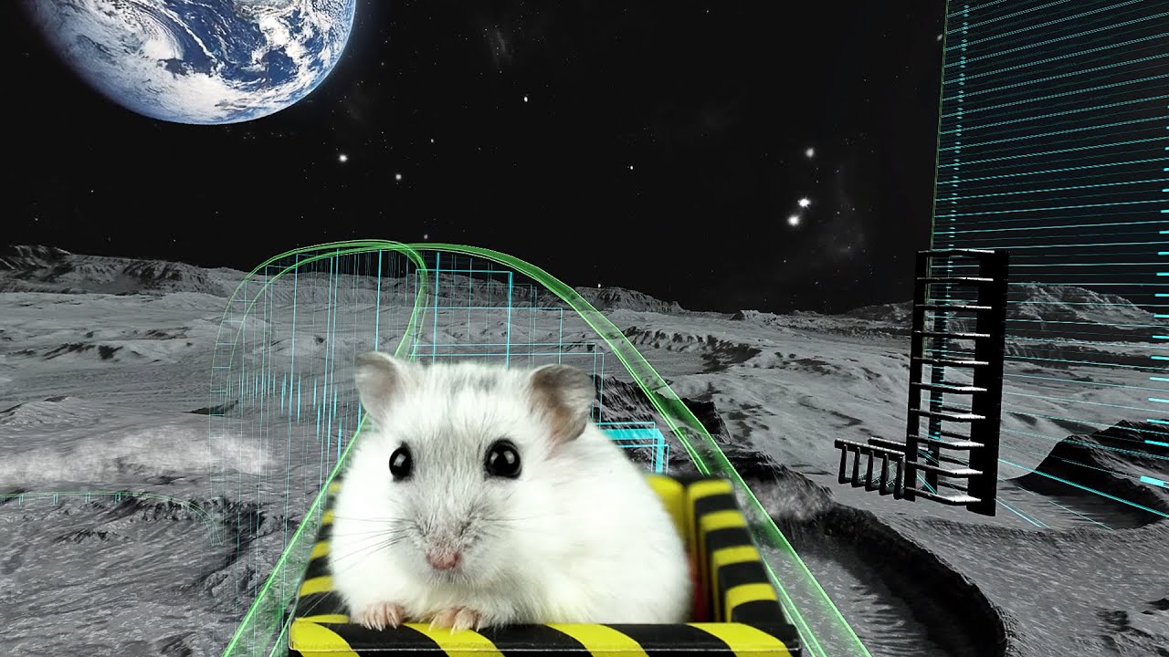 Hamster in Roller Coaster Spaceport | Hamsters maze