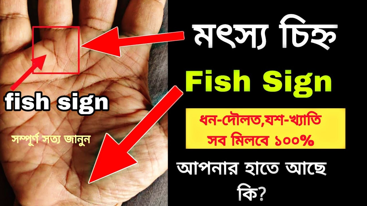 Fish sign on sun mount|রবির ক্ষেত্রে মৎস্য চিহ্ন|রবি রেখা|সূর্য রেখা|Rabi rekha