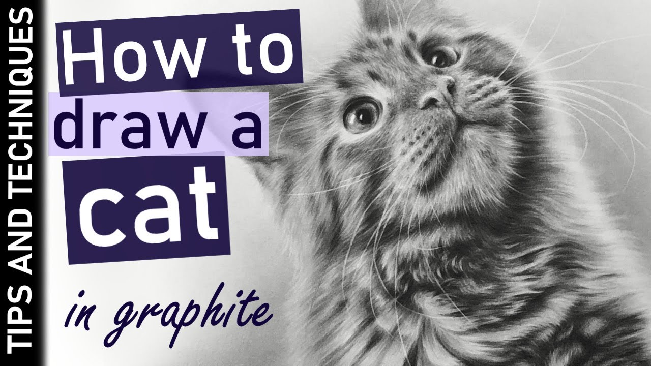 How to draw a photo realistic cat in graphite | Tips for drawing fur