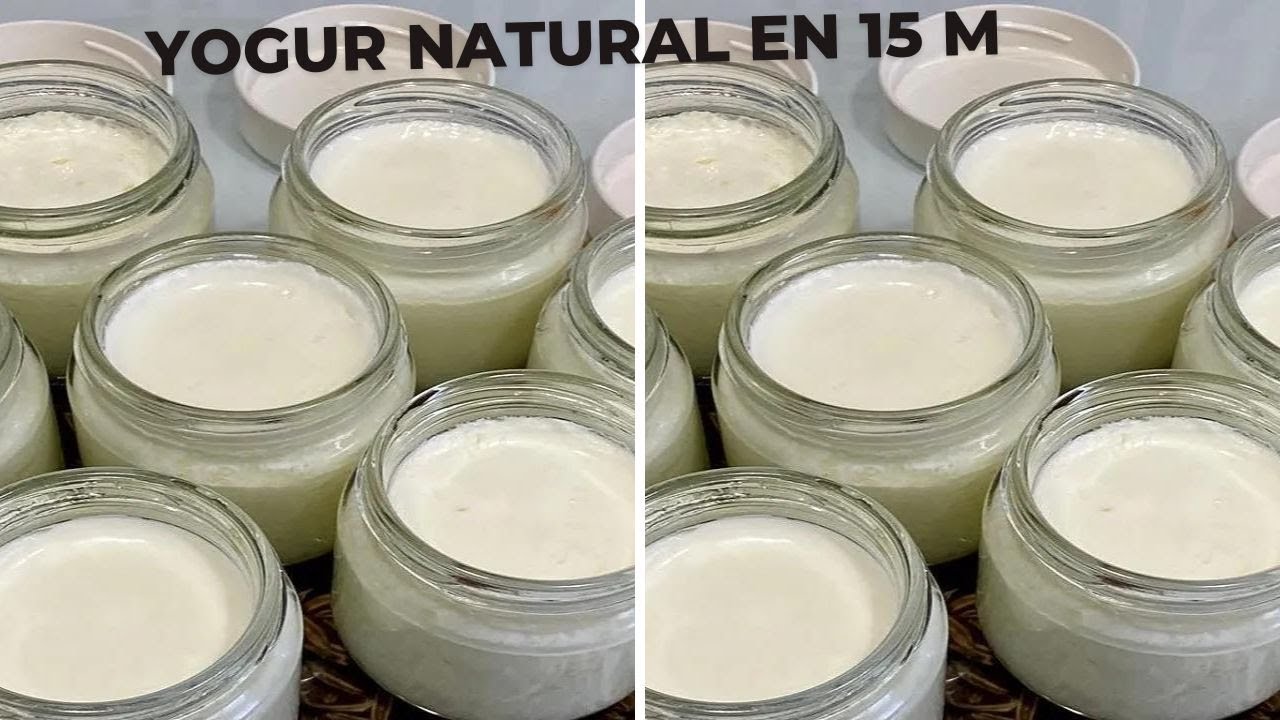 YOGURES NATURALES EN VAPORERA CON SOLO 15 MINUTOS😋😋😋😋 CON ROBOT MAMBO!!