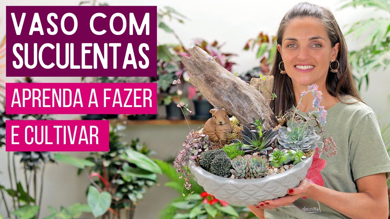 VASO com SUCULENTAS 🌱 APRENDA a FAZER e CULTIVAR