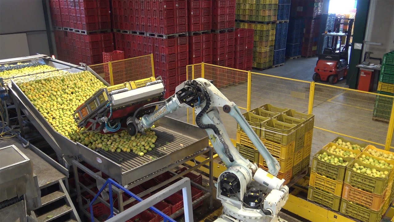 Top Citrus, come aumentare la shelf life dei limoni