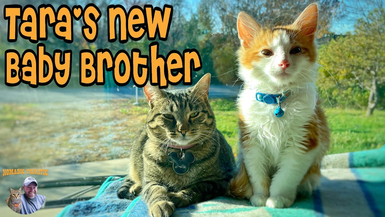 Tara & I Adopted A New Baby Brother ~ Meet Opie!!!