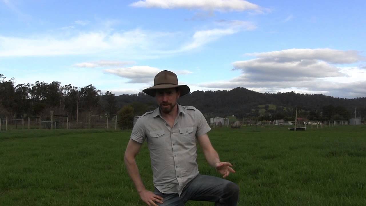 Small Farm Pasture Renovation Trial - Step 1, set-up and monitoring