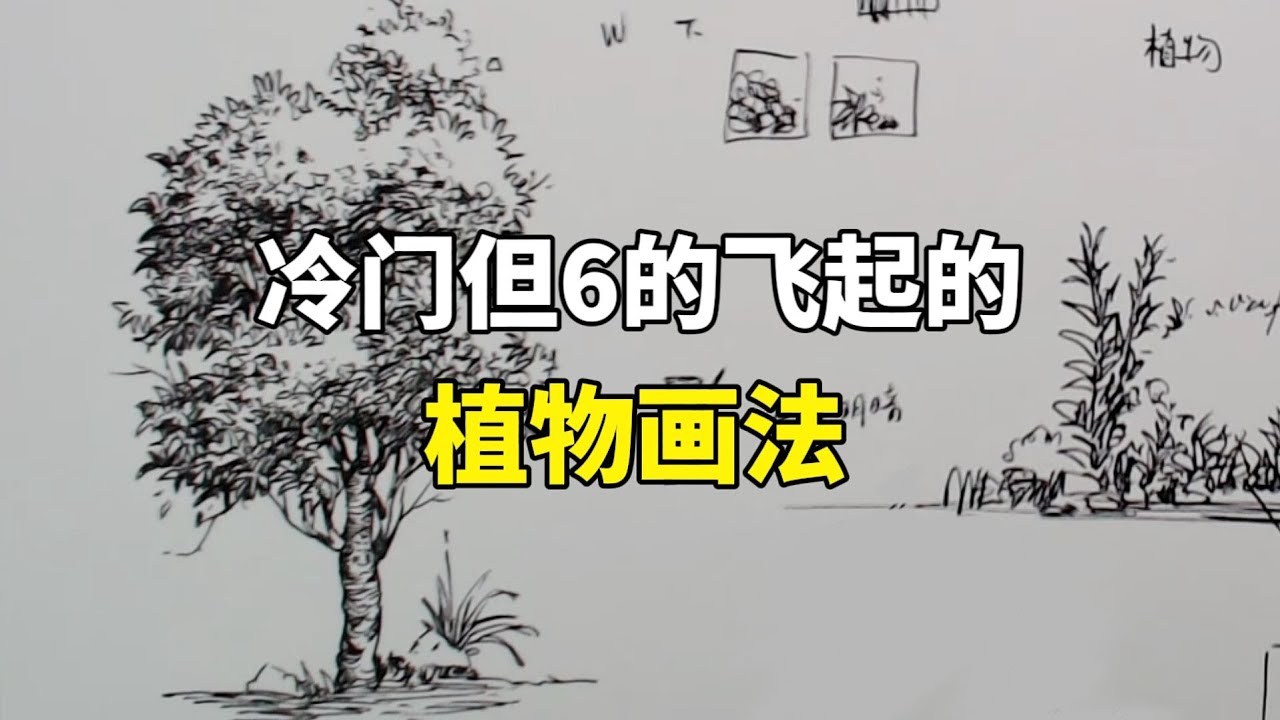 植物怎么画？钢笔速写教程